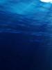 ड्रीम इंटरप्रिटेशन: आप समुद्र का सपना क्यों देखते हैं?