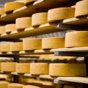 Описание на сирищното сирене, характеристиките на производството на този продукт, както и рецепта за домашно сирене